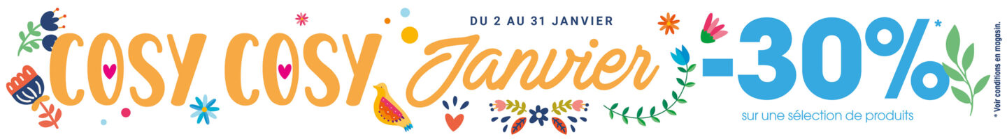 MAJ-SiteWeb-Cosy-Janvier---Campagne_1-Banniere