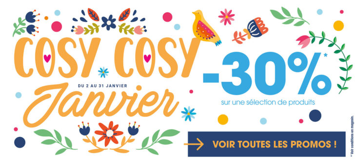 MAJ-SiteWeb-Cosy-Janvier---Campagne_3-Large