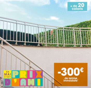 MAJ-SiteWeb-W-Prix-Ami---Produit_11